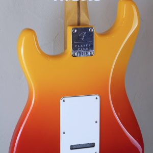 Fender Player Plus Stratocaster Tequila Sunrise 4