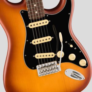 Fender Limited Edition American Performer Timber Spruce Stratocaster Honey Burst 4