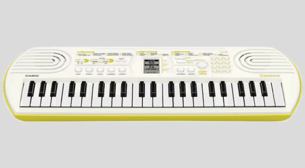 Casio SA-80 bianca 100 timbri, 50 ritmi, 10 brani, 2 casse da 0,8 watt